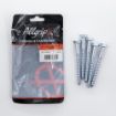 Picture of Allgrip Coach Screws BZP 10 x 100mm (Pack of 5)