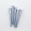 Picture of Allgrip Coach Screws BZP 10 x 100mm (Pack of 5)