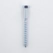 Picture of Allgrip Coach Screws BZP 10 x 100mm (Pack of 5)