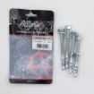 Picture of Allgrip Through Bolts BZP 10 x 120mm (Pack of 4)