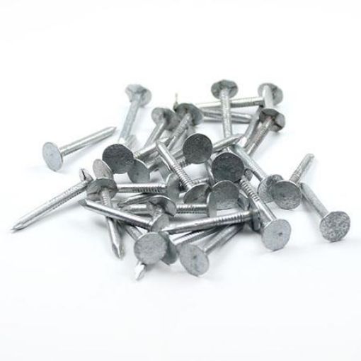 Picture of Allgrip Slate Clout Nail Galvanised 2.5in 65mm 1kg